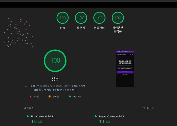 모바일 PageSpeed Insights 100점 확인하기 >