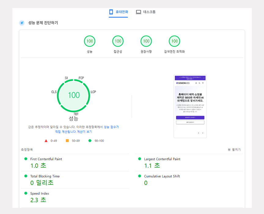 코어 웹 바이탈 고득점 캡처본